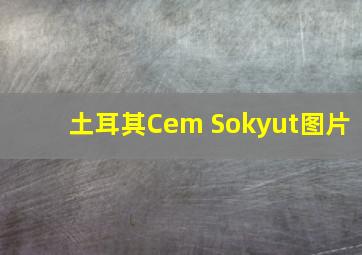 土耳其Cem Sokyut图片